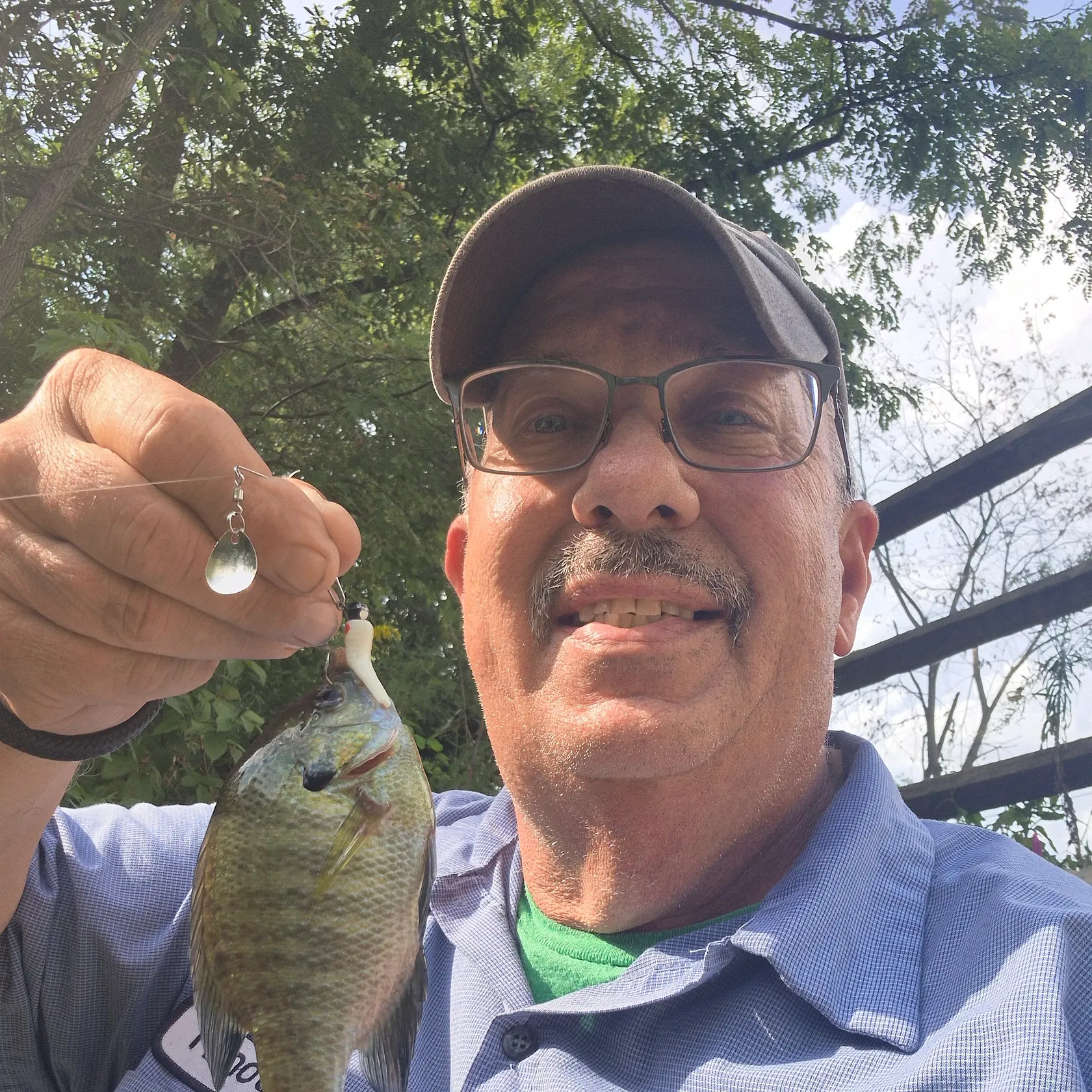 Bluegill caught on Fishbrain