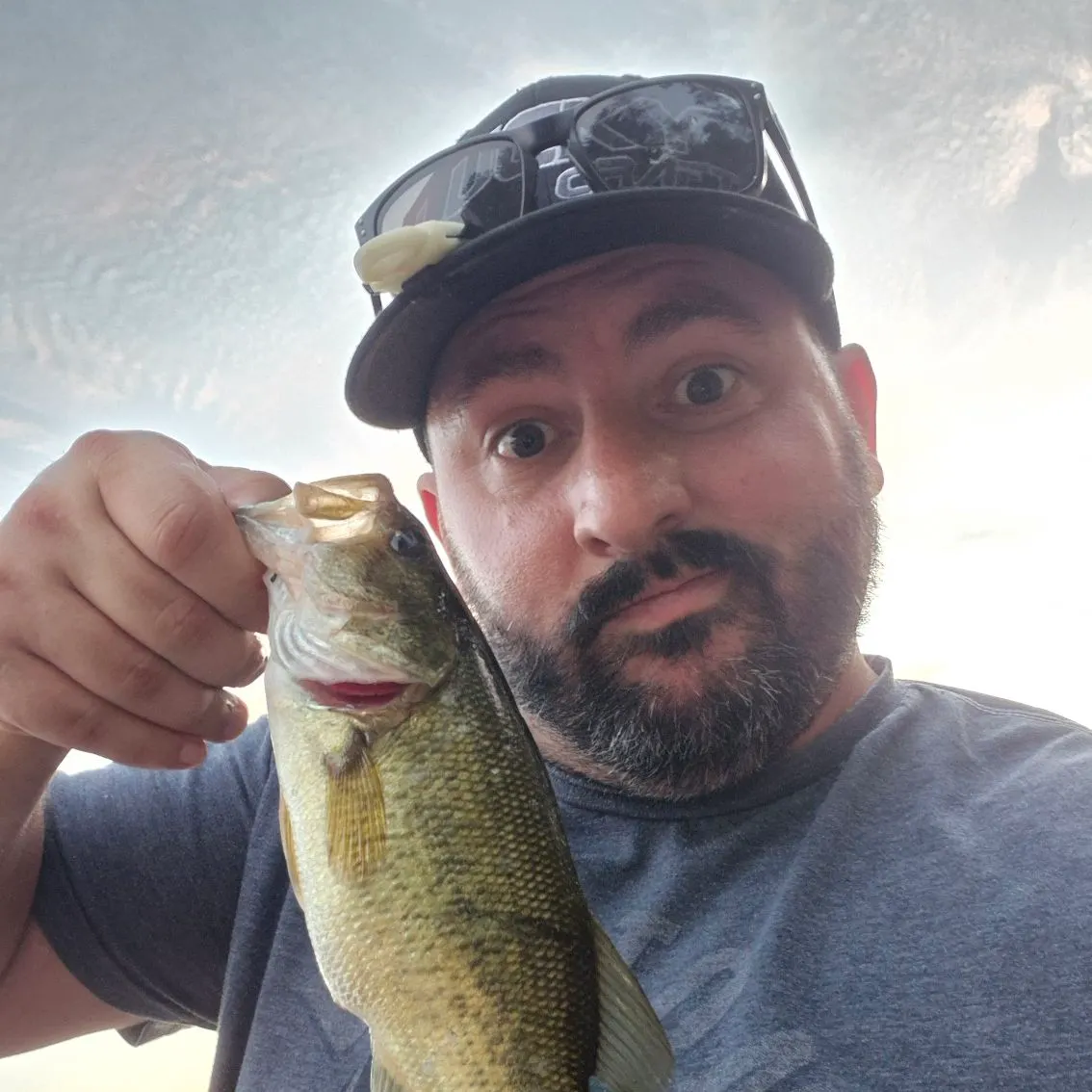 Largemouth bass caught on Fishbrain