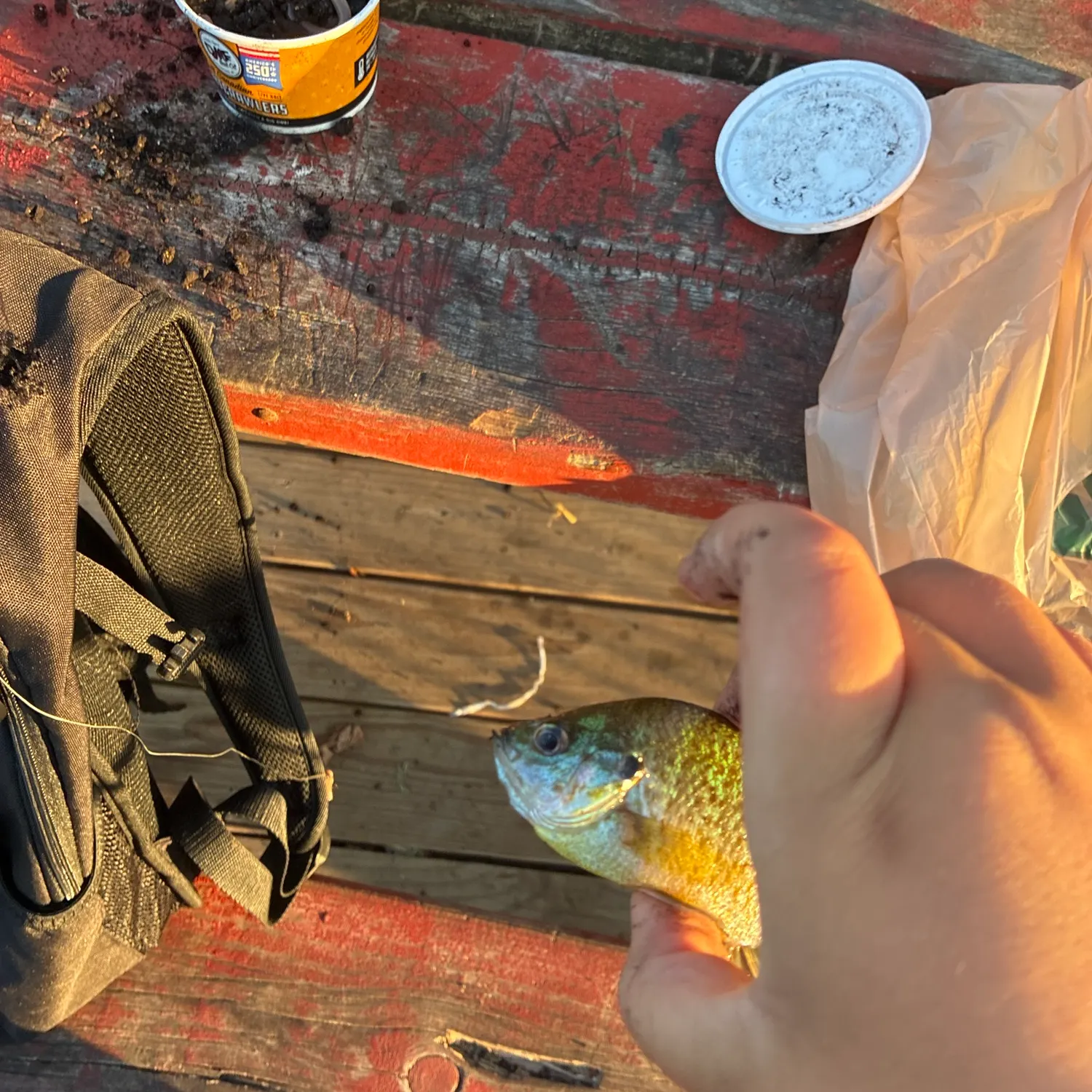 catch