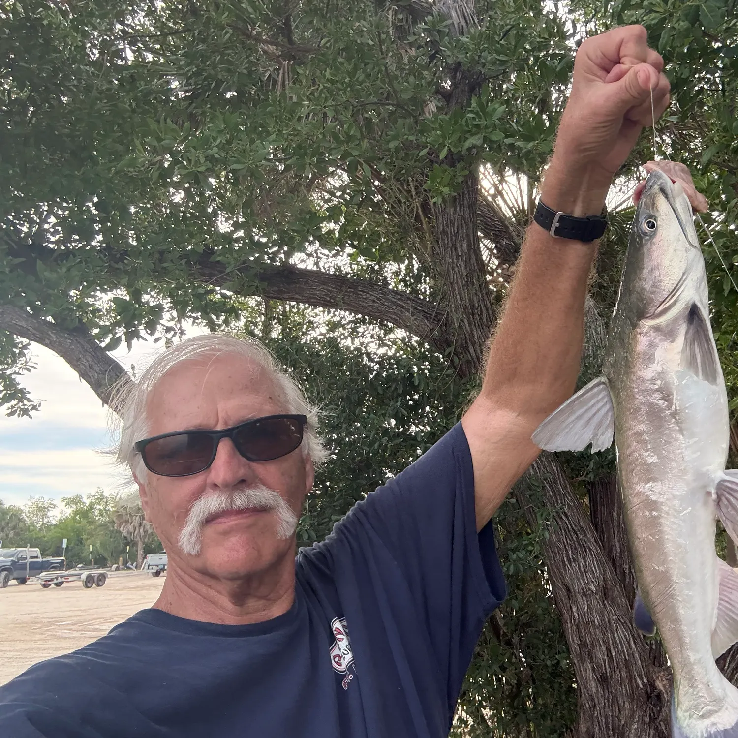 Blue catfish caught on Fishbrain