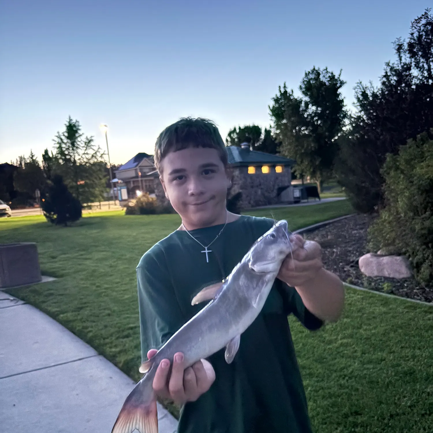 Channel catfish caught on Fishbrain