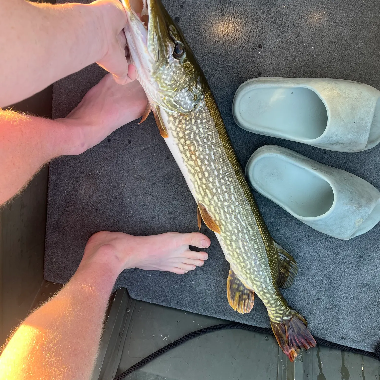 catch