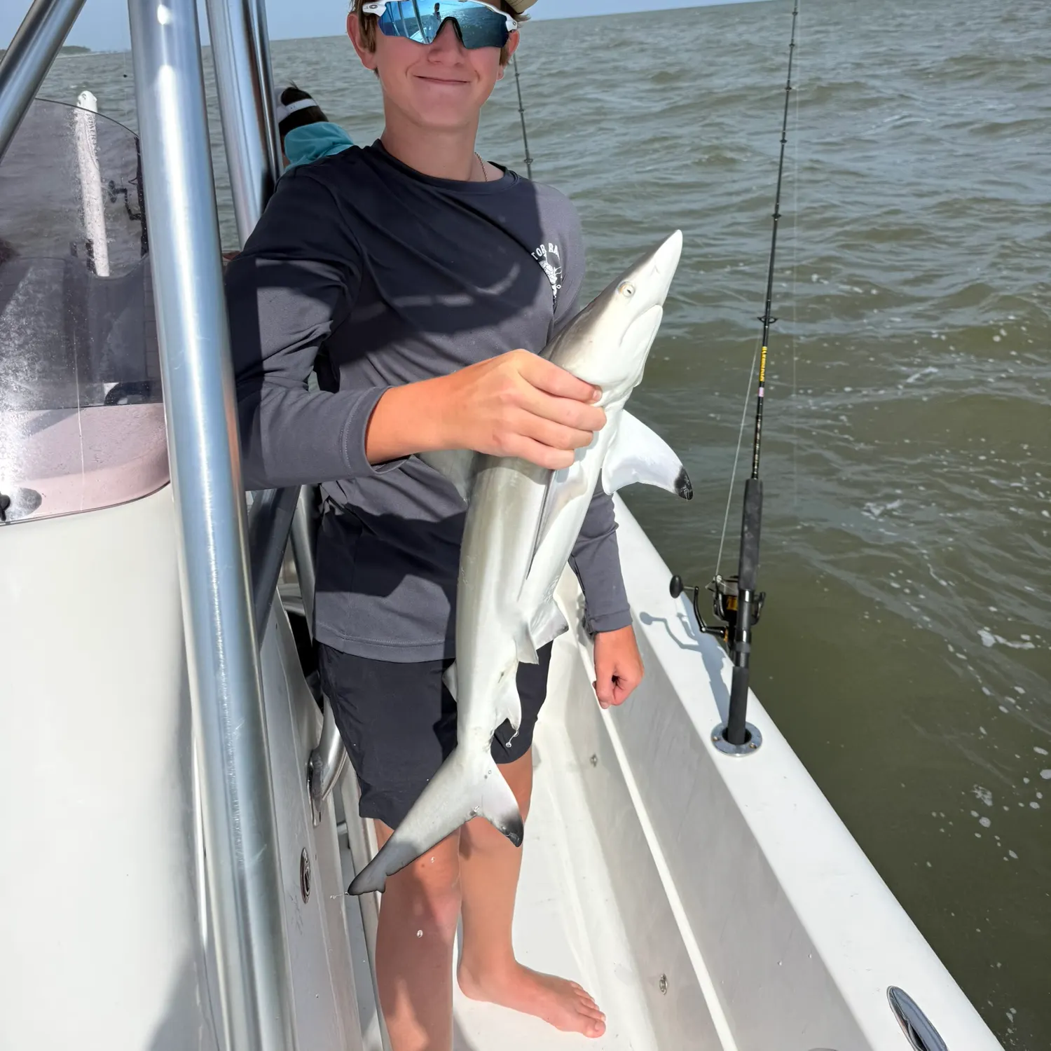 The most recent Blacktip shark catches on Fishbrain