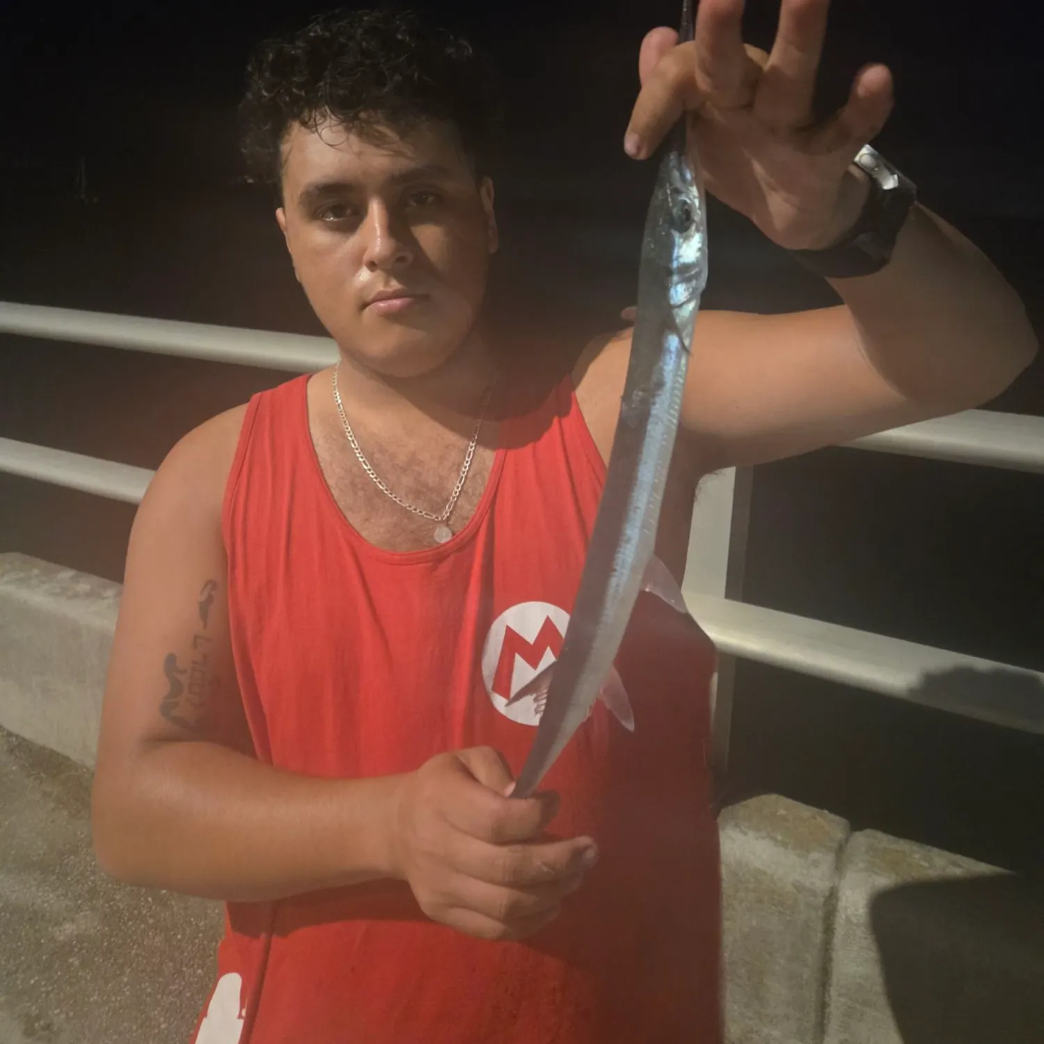 Hound needlefish caught on Fishbrain