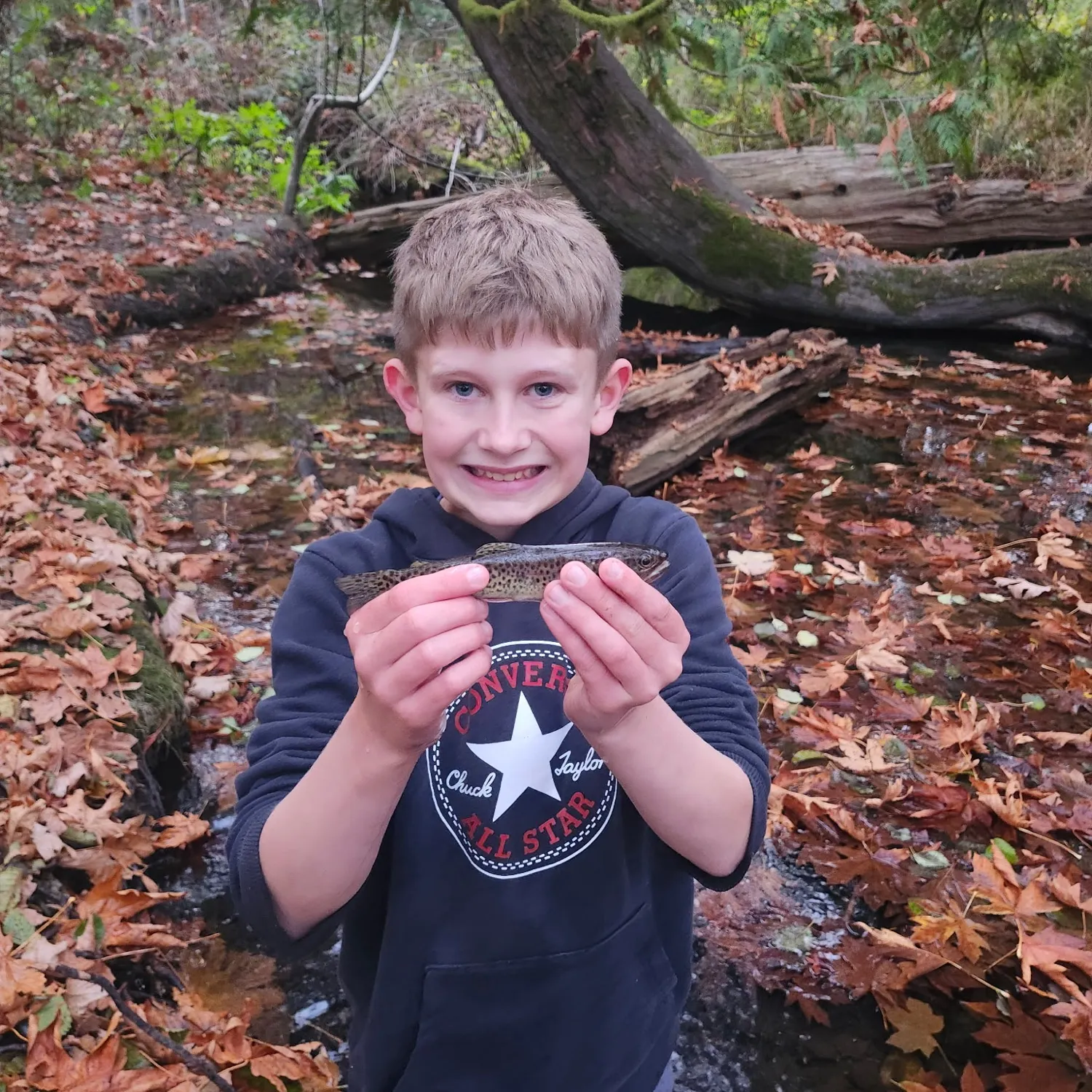 Rainbow trout caught on Fishbrain