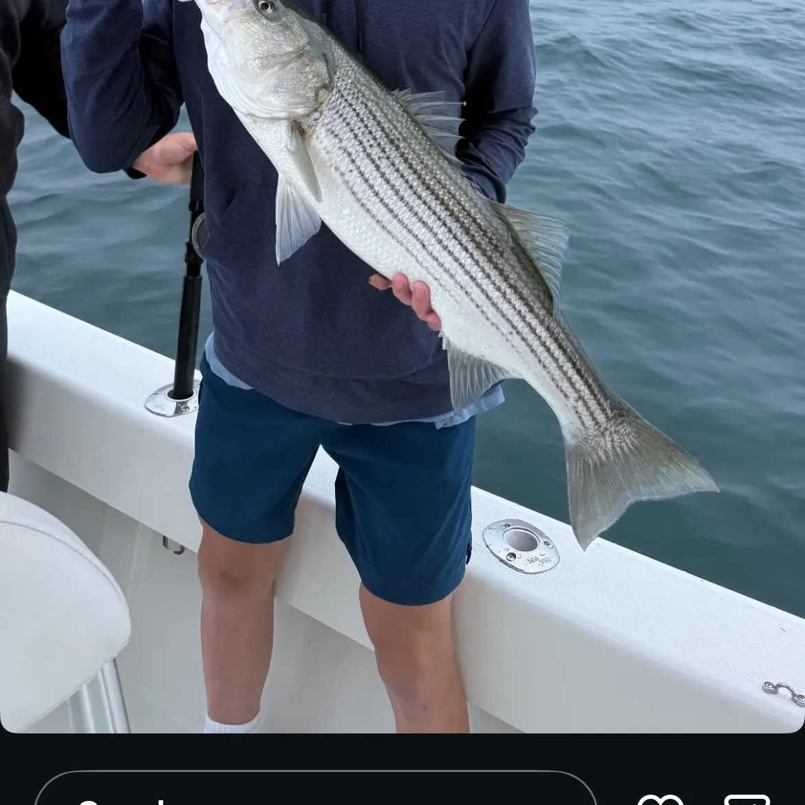 Striped bass caught on Fishbrain