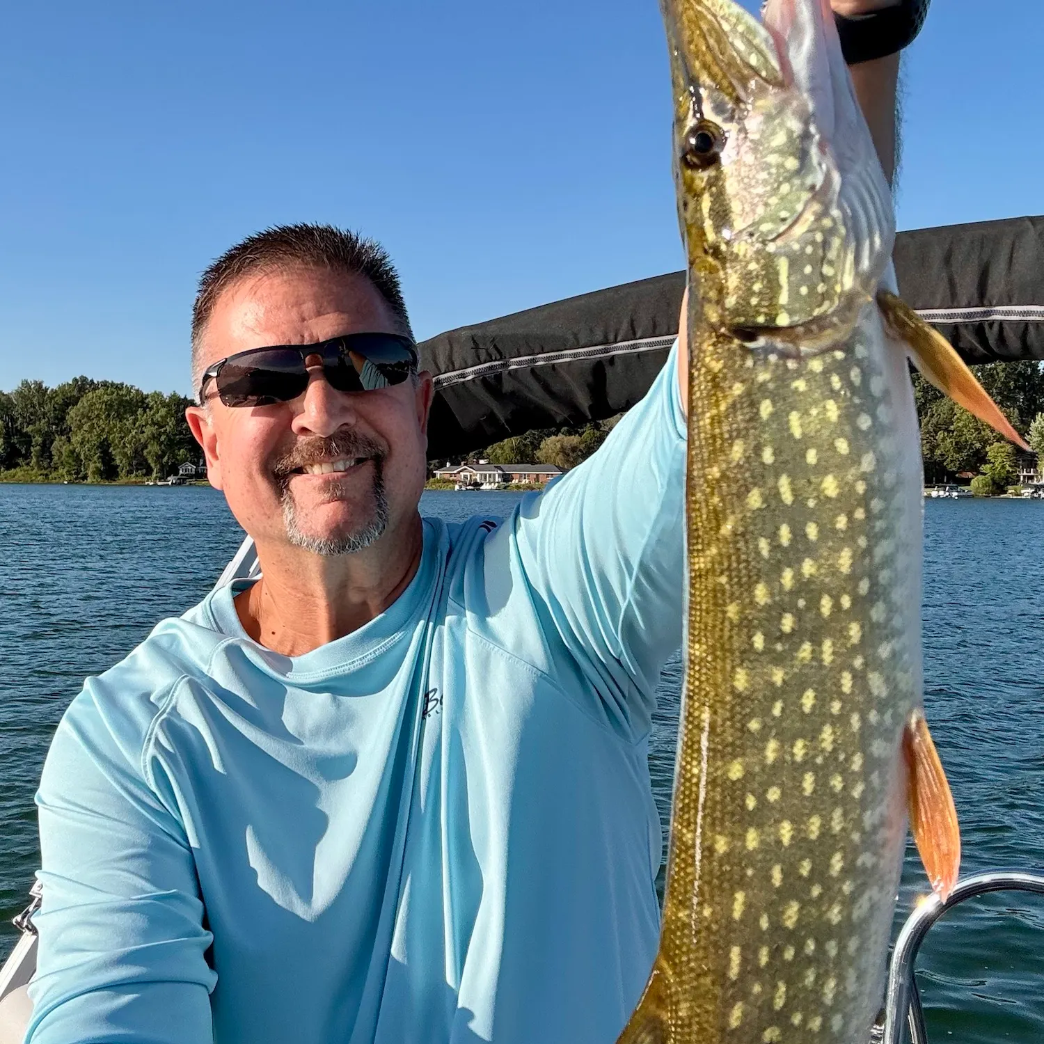 Northern pike caught on Fishbrain