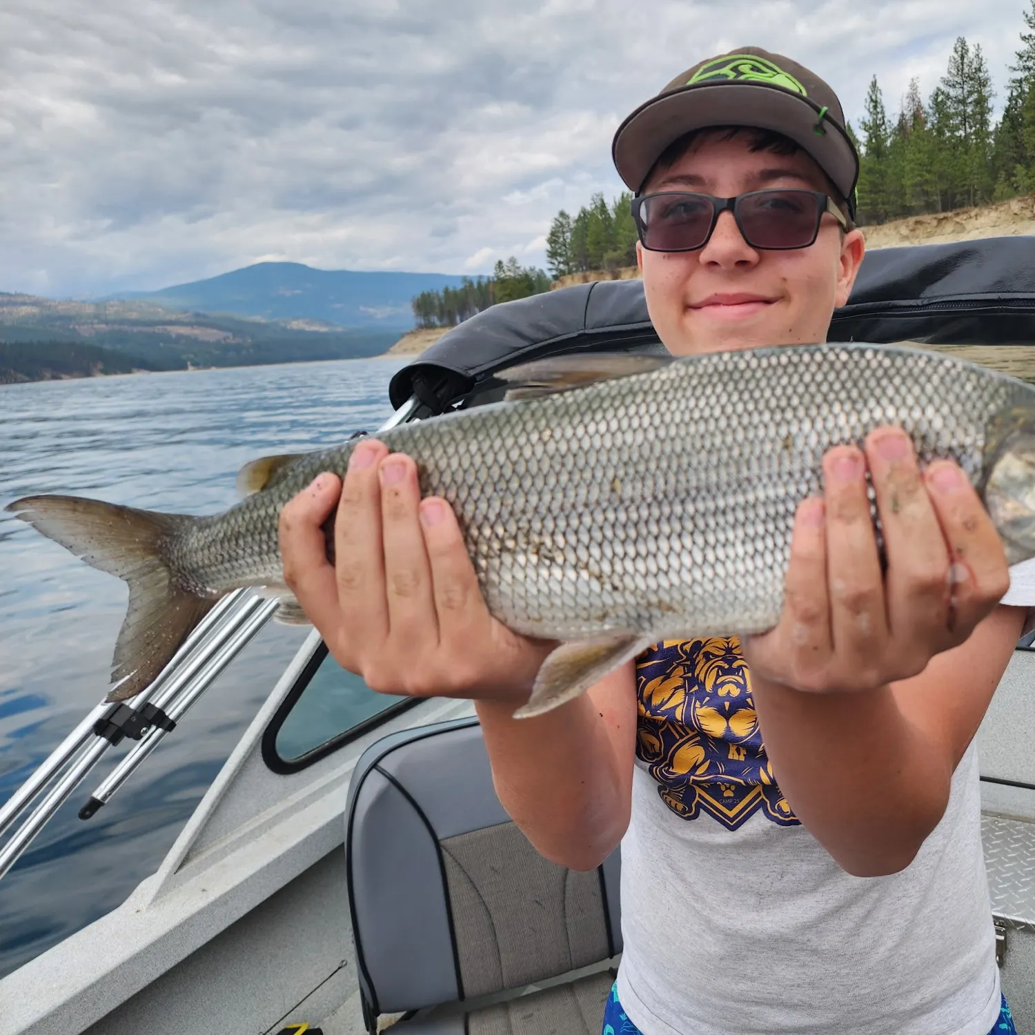 Lake whitefish caught on Fishbrain