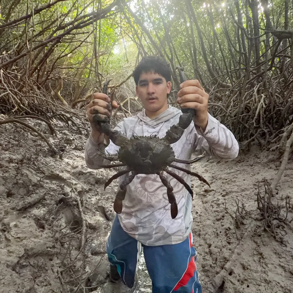 The most recent Giant mud crab catches on Fishbrain