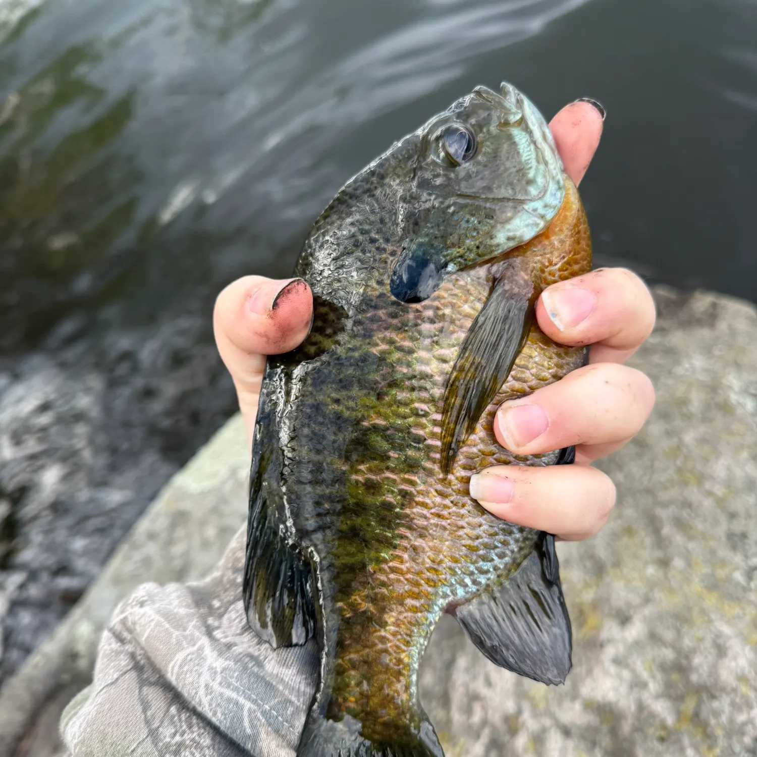catch