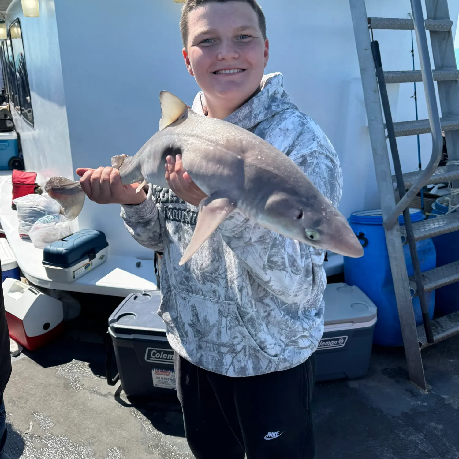 The most recent Shortnose spurdog catches on Fishbrain