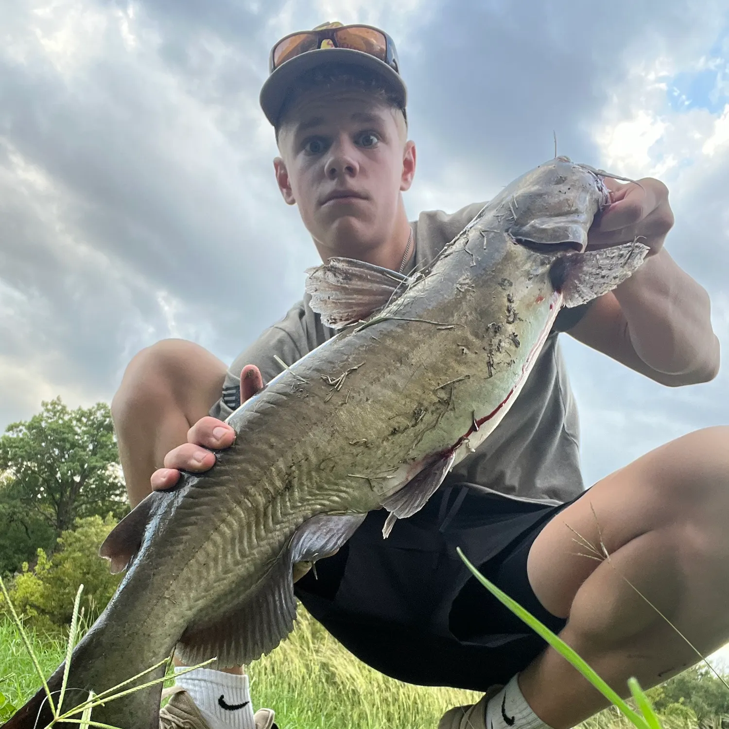 Channel catfish caught on Fishbrain