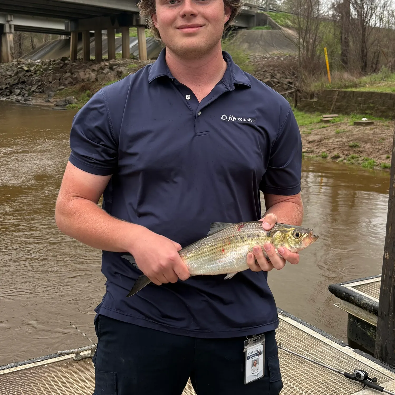 The most recent American shad catches on Fishbrain