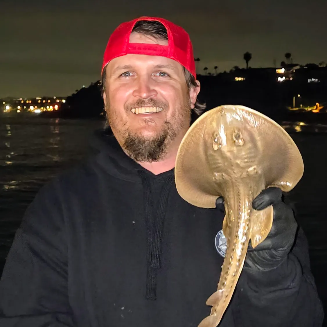 The most recent Thornback guitarfish catches on Fishbrain