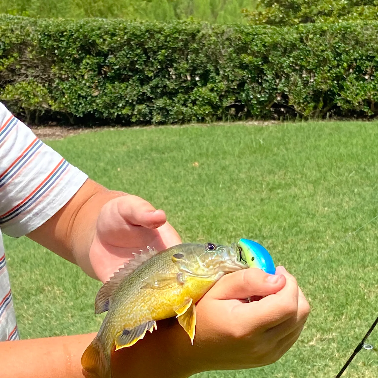 angler catch