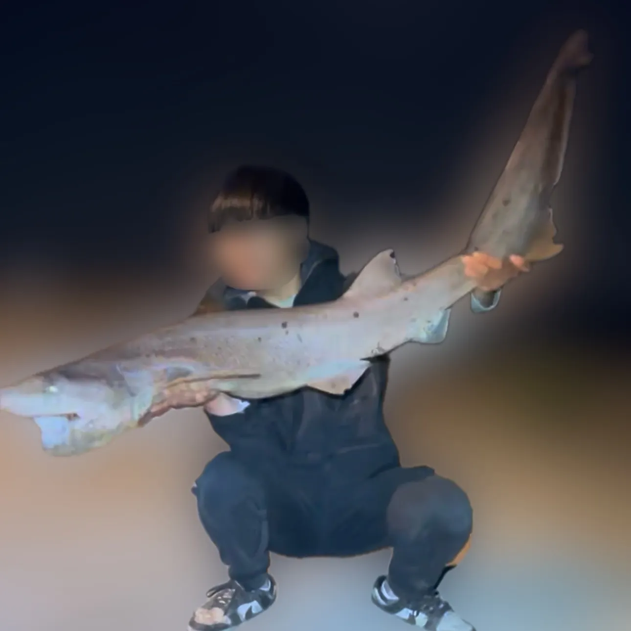 The most recent Broadnose sevengill shark catches on Fishbrain
