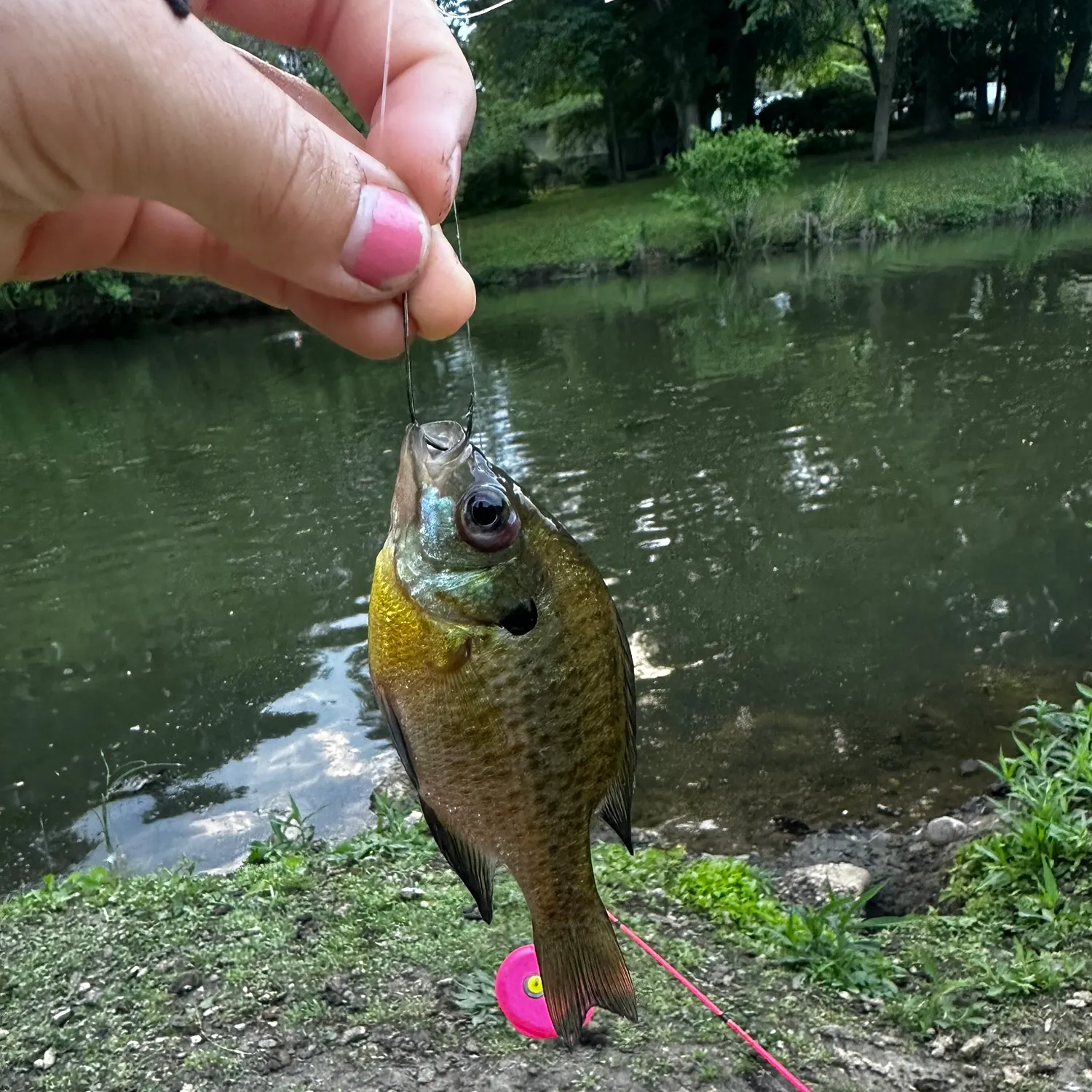 catch