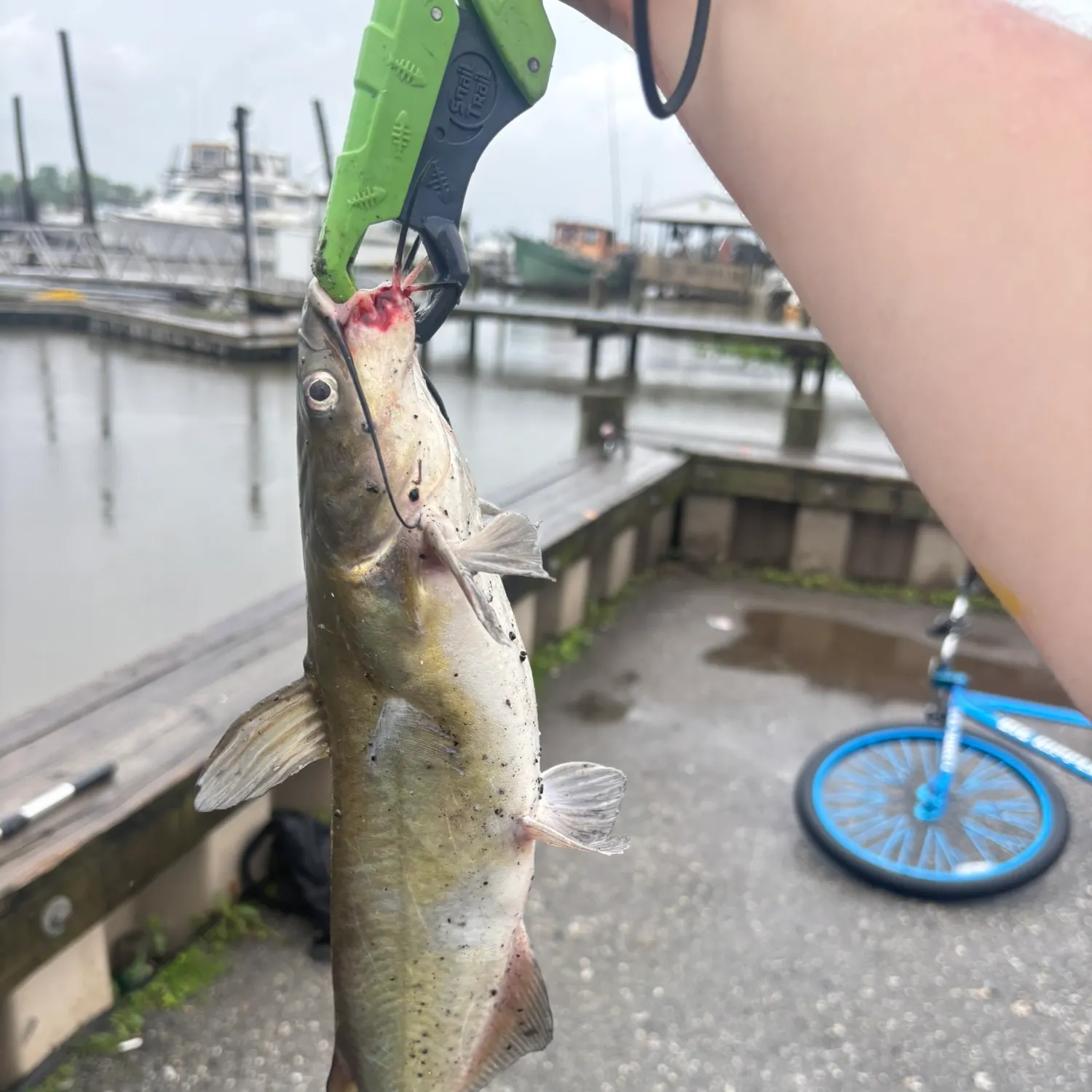 catch