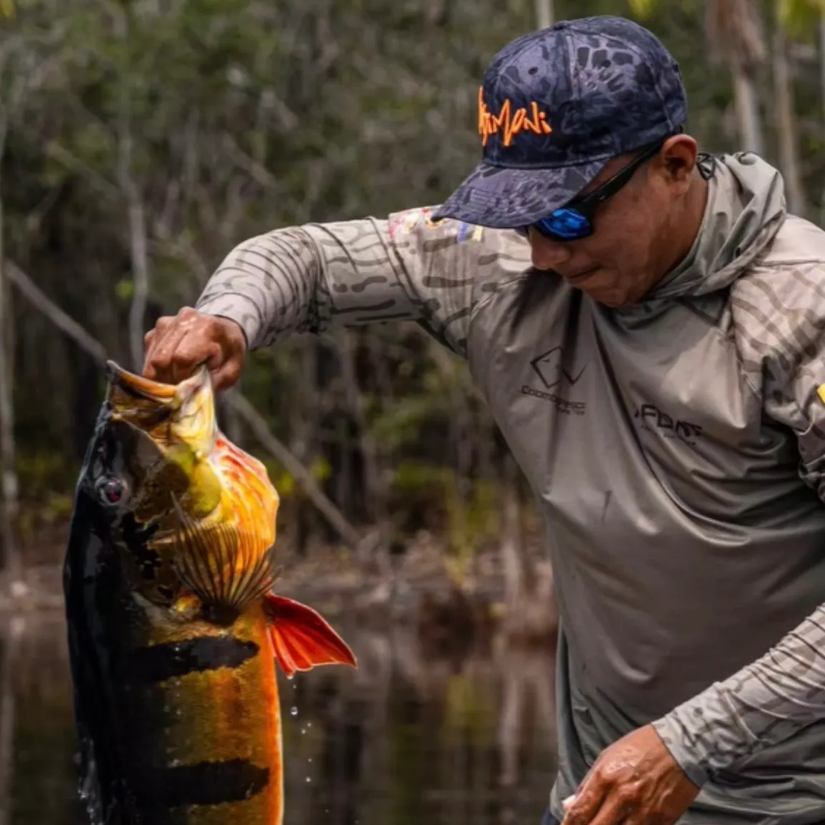 The most recent Speckled peacock bass catches on Fishbrain