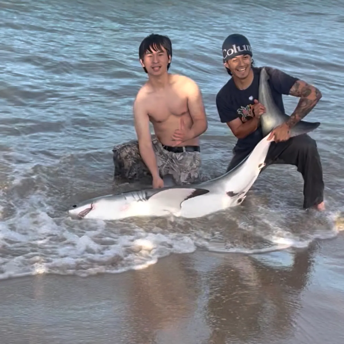 The most recent Great white shark catches on Fishbrain