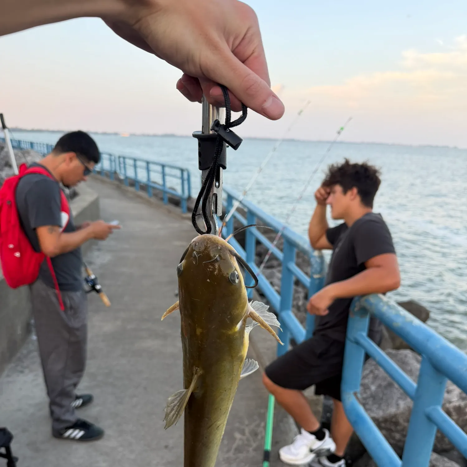 catch