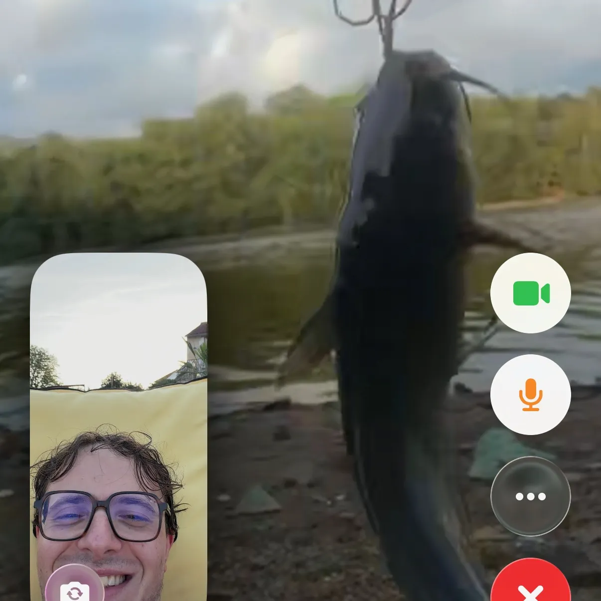 European perch caught on Fishbrain