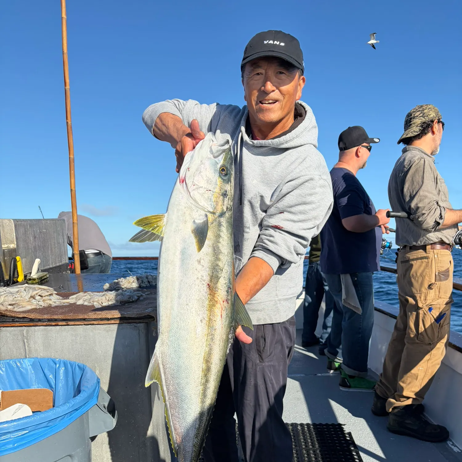 The most recent California yellowtail amberjack catches on Fishbrain