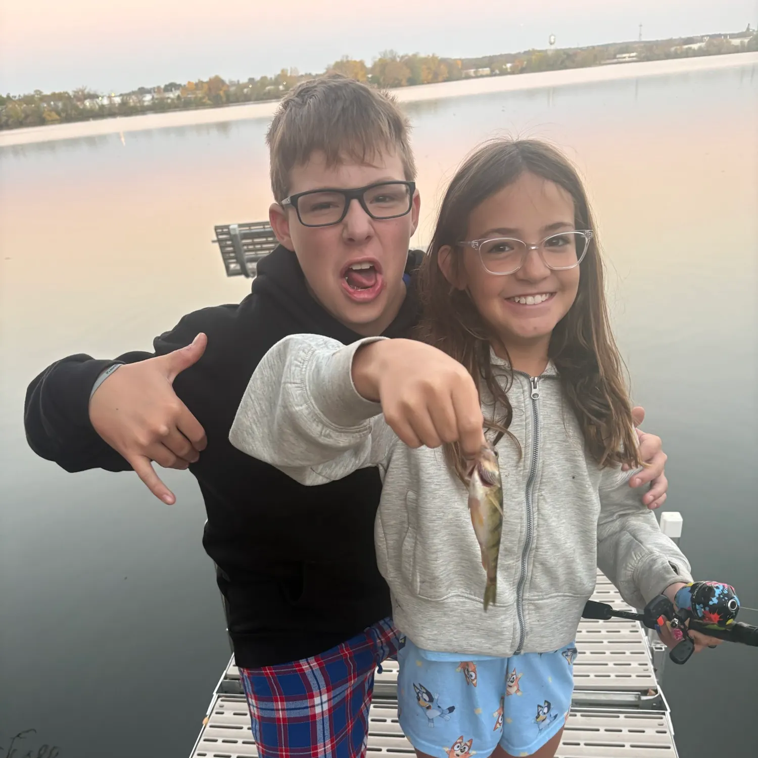 Yellow perch caught on Fishbrain