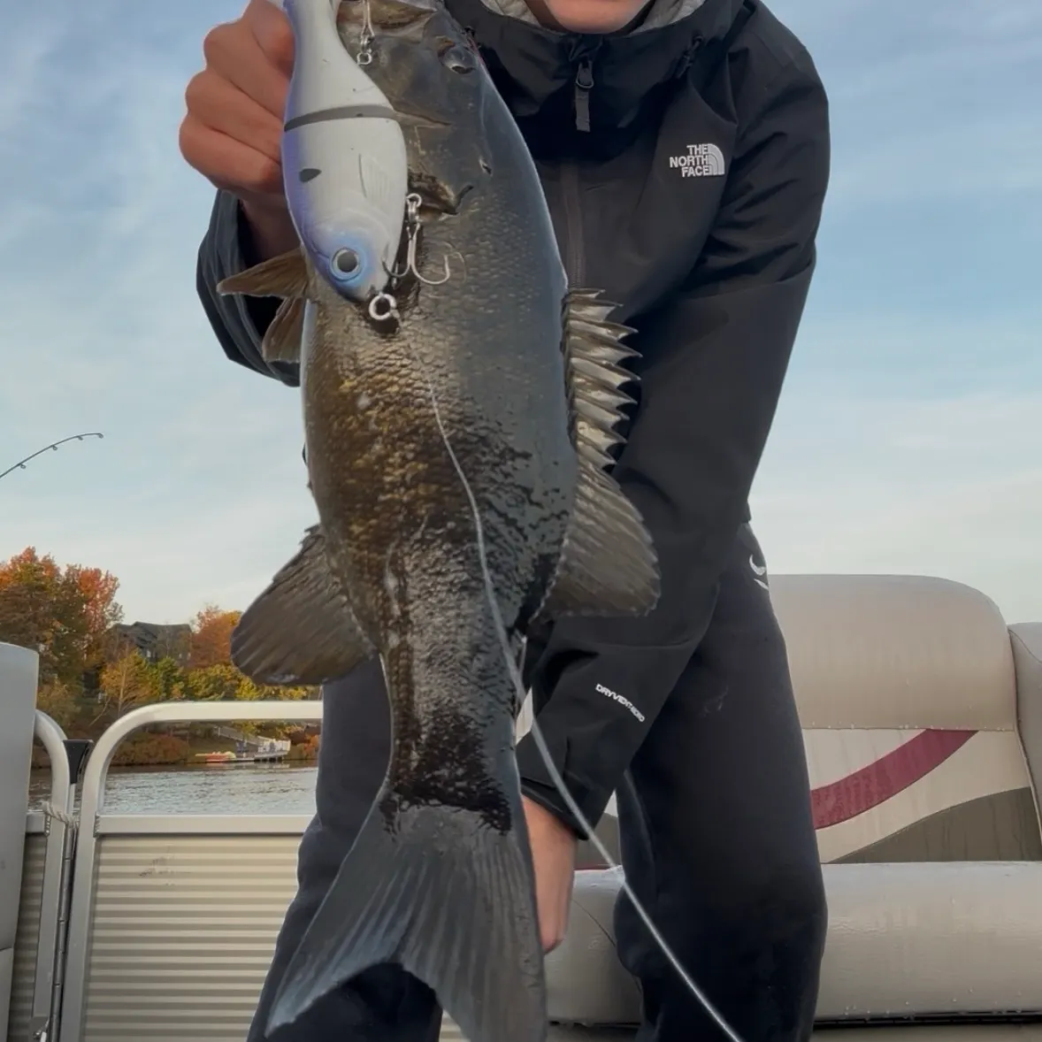 Smallmouth bass caught on Fishbrain