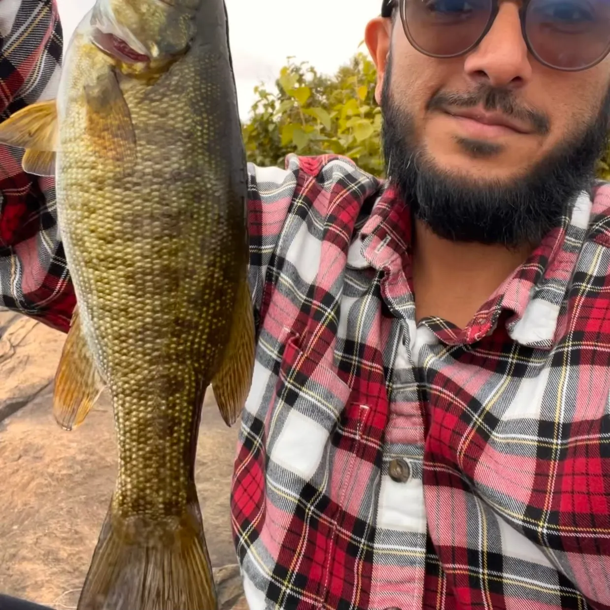 Smallmouth bass caught on Fishbrain