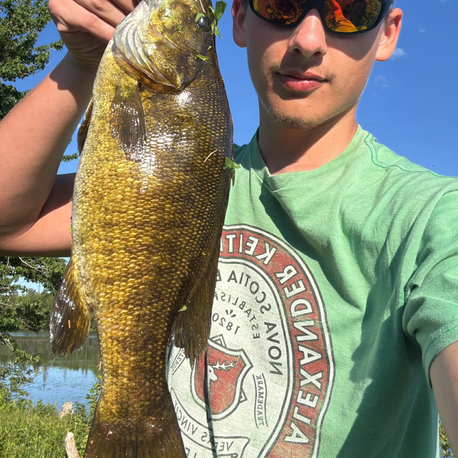 recently logged catches