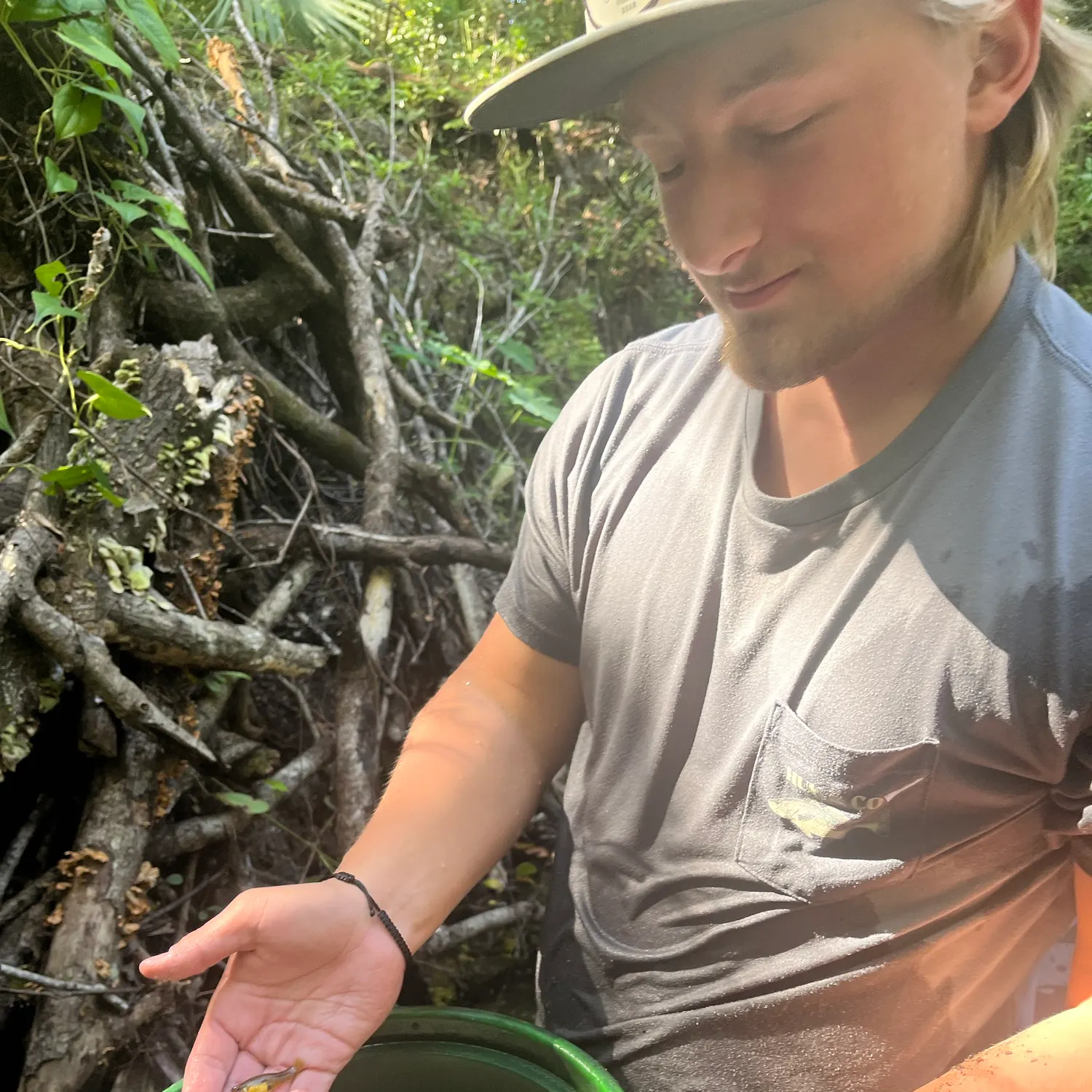 The most recent Eastern mosquitofish catches on Fishbrain