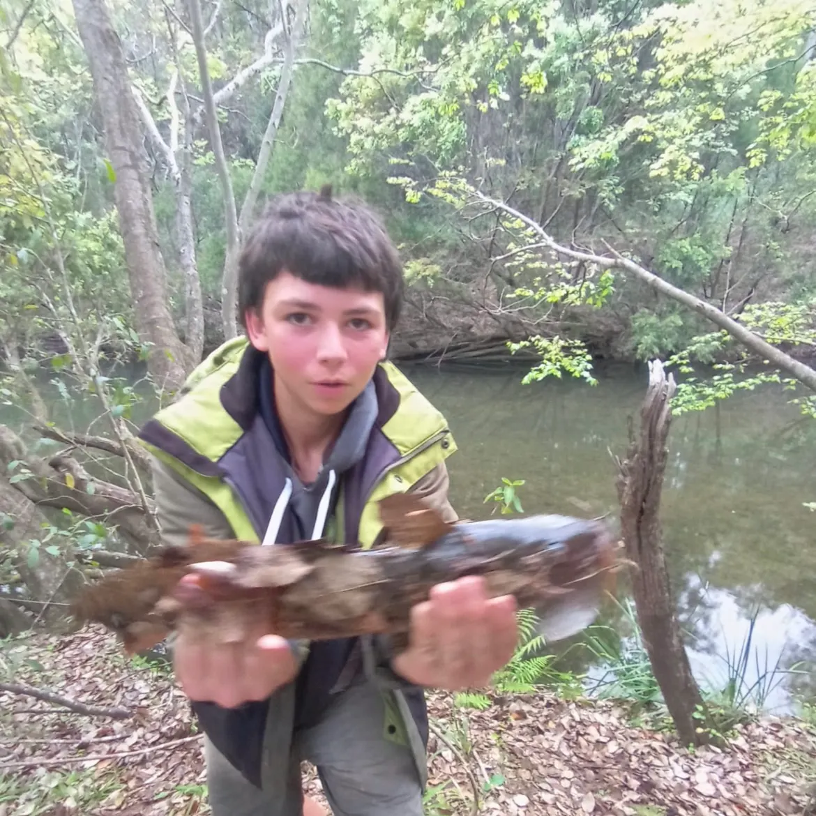 The most recent Dewfish catches on Fishbrain