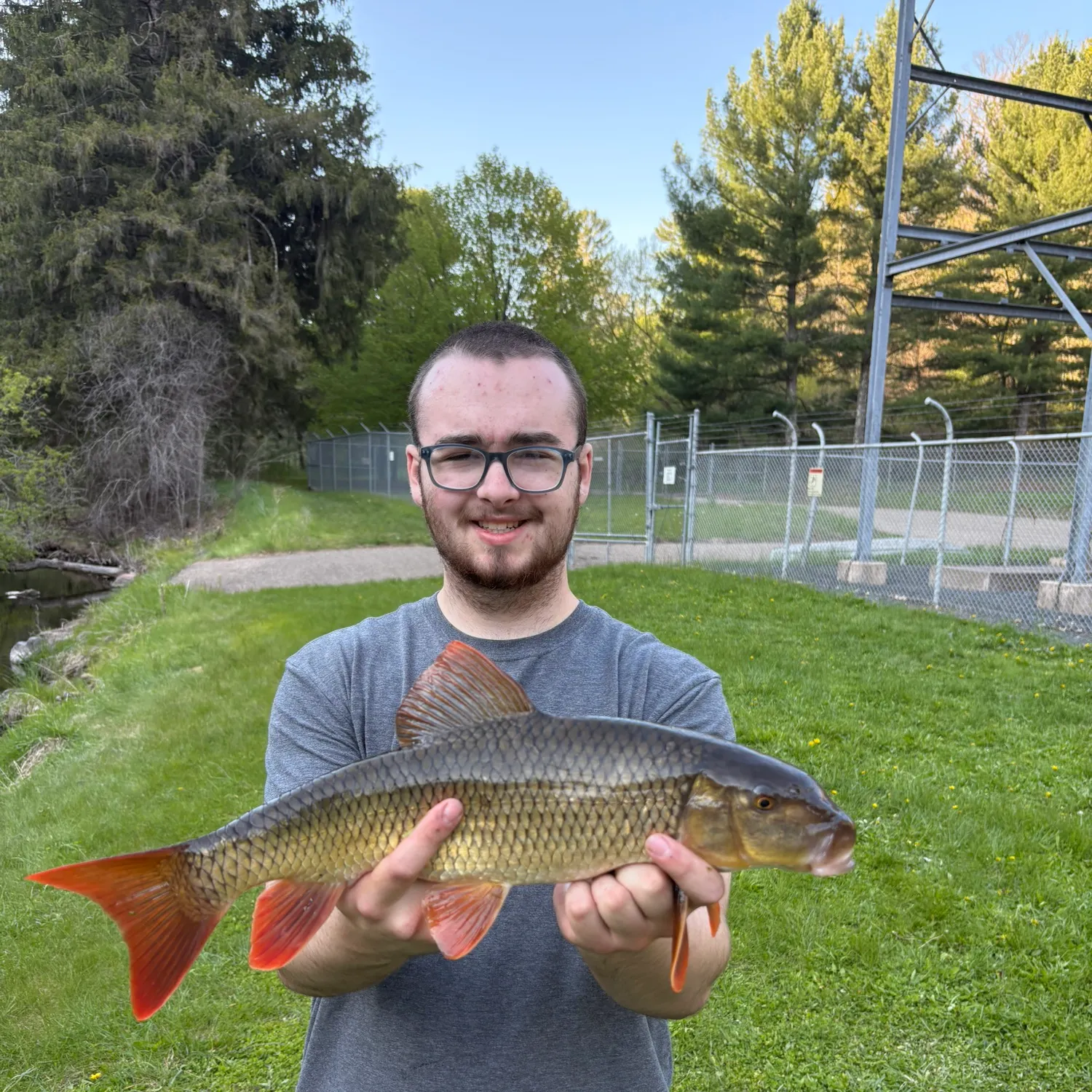 The most recent Golden redhorse catches on Fishbrain