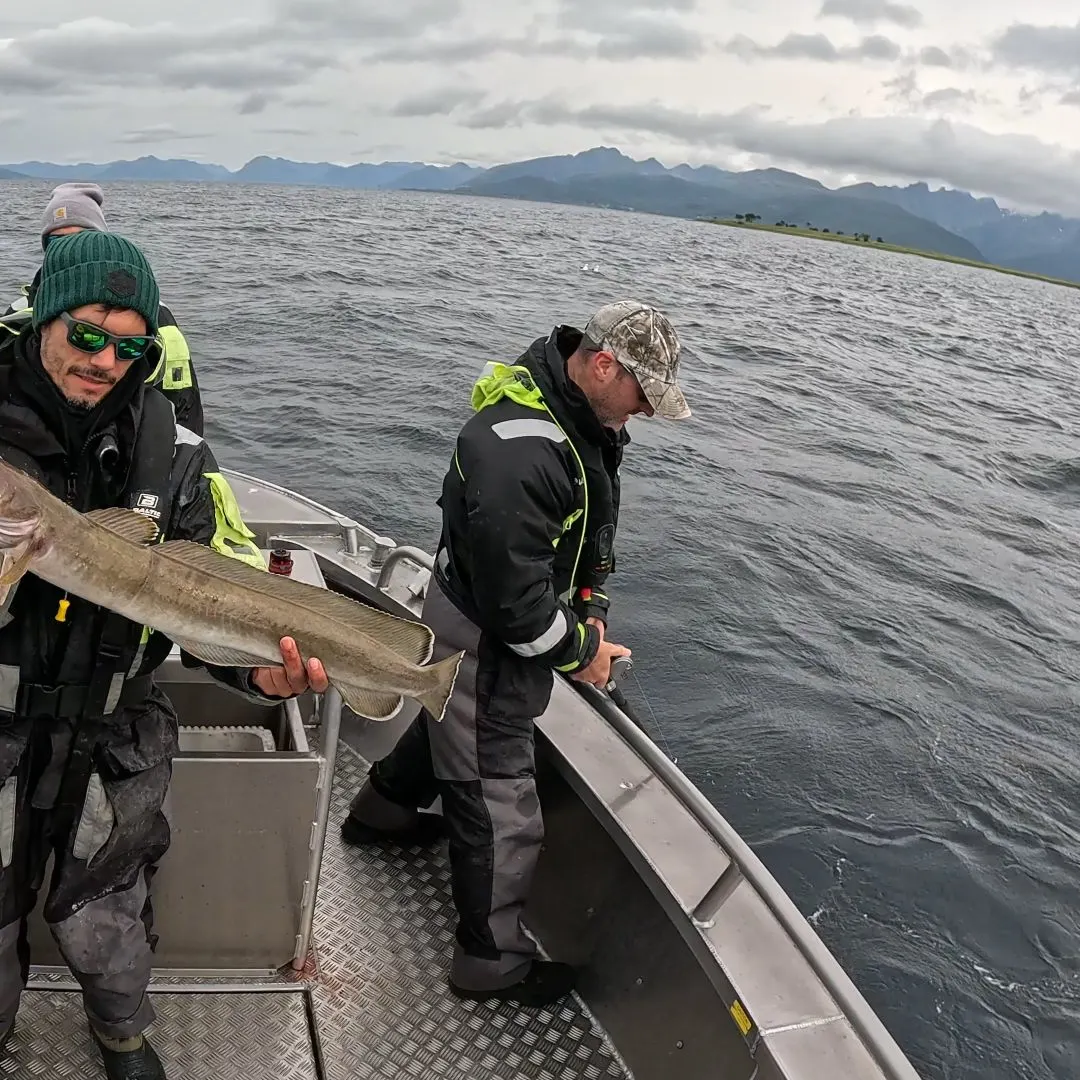 The most recent Common ling catches on Fishbrain