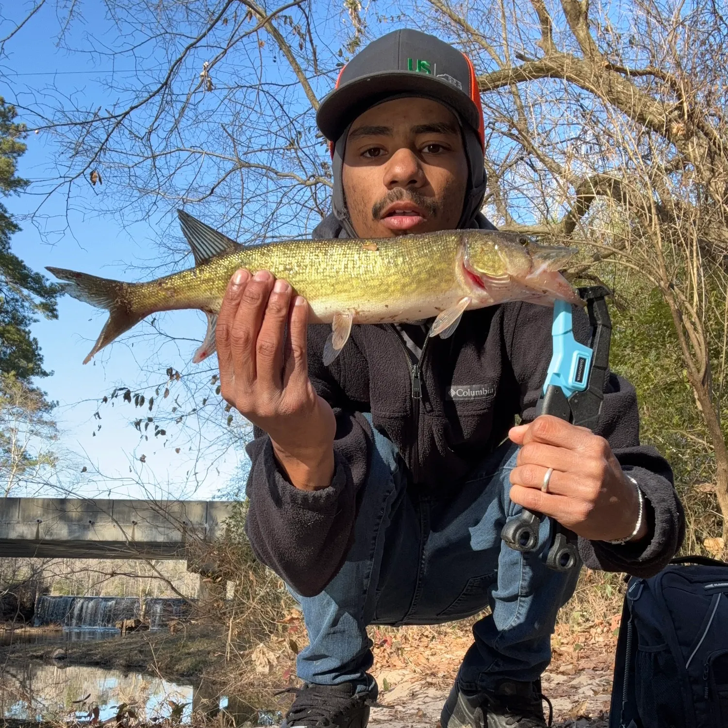 The most recent Chain pickerel catches on Fishbrain