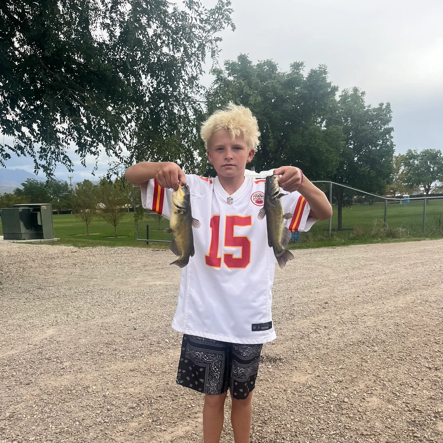 Yellow bullhead caught on Fishbrain