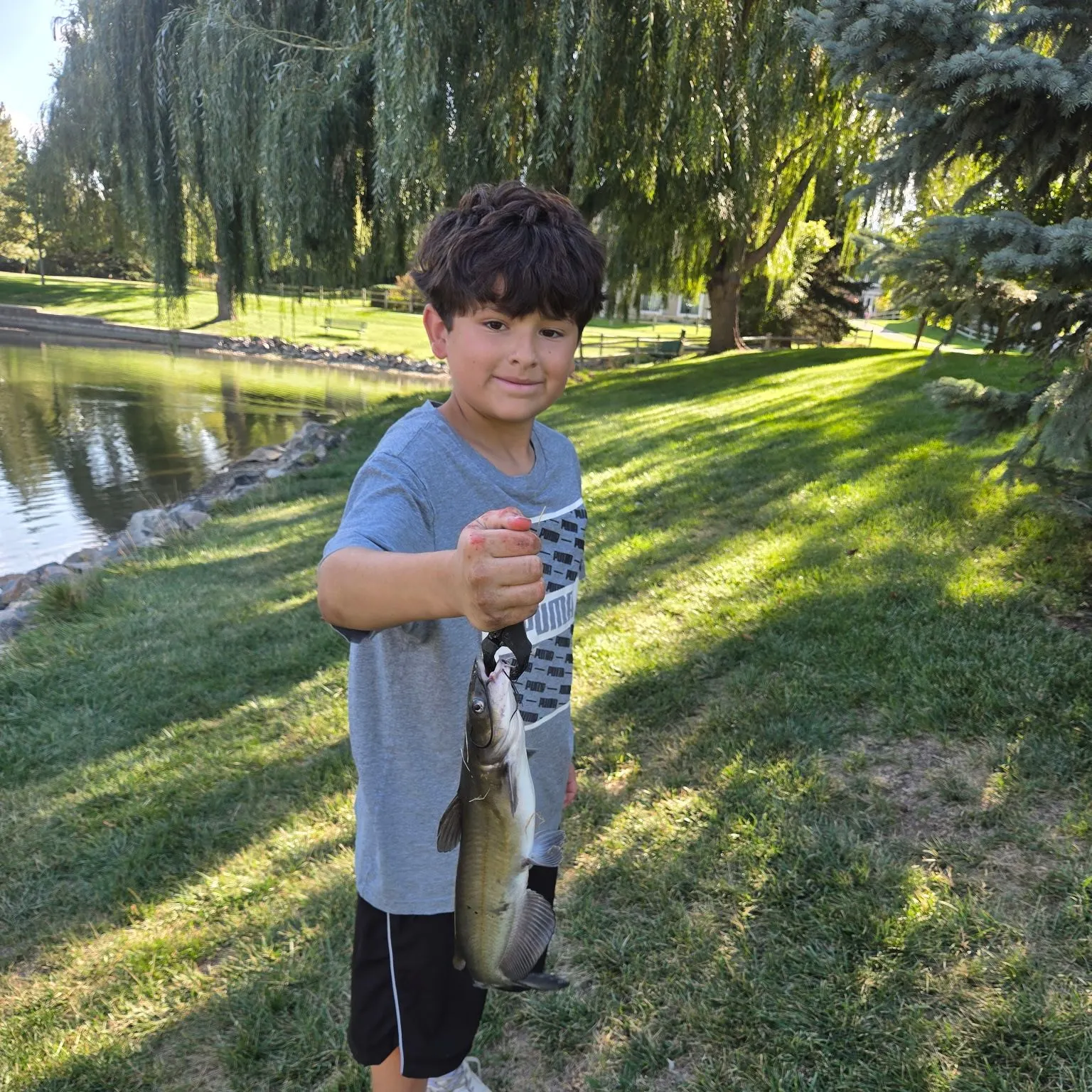 Channel catfish caught on Fishbrain