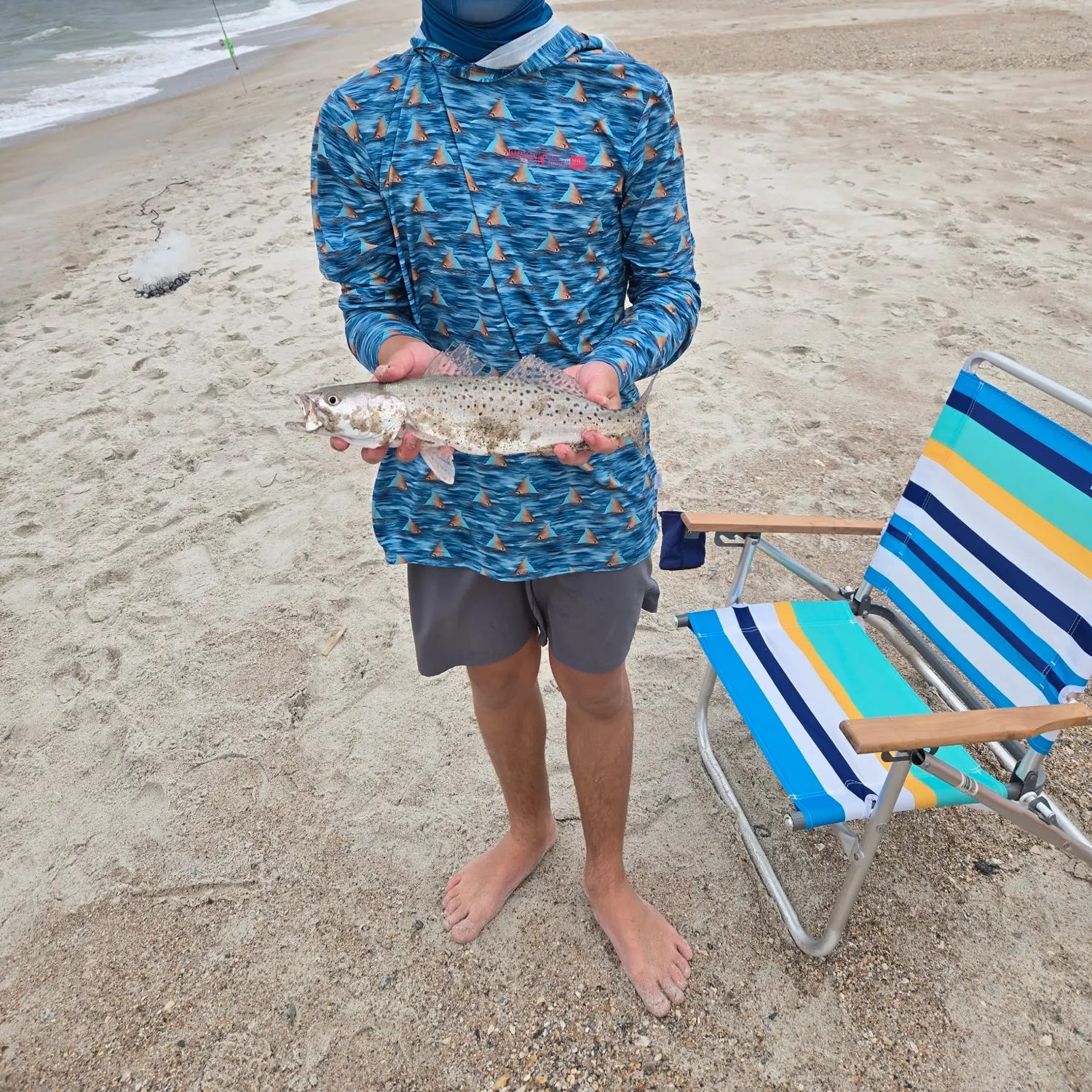 Spotted seatrout caught on Fishbrain