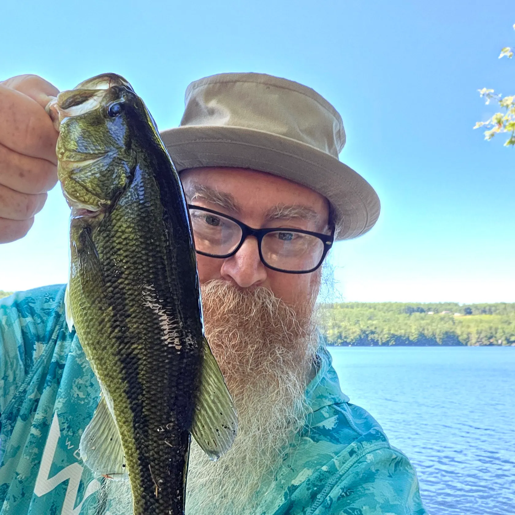 Largemouth bass caught on Fishbrain