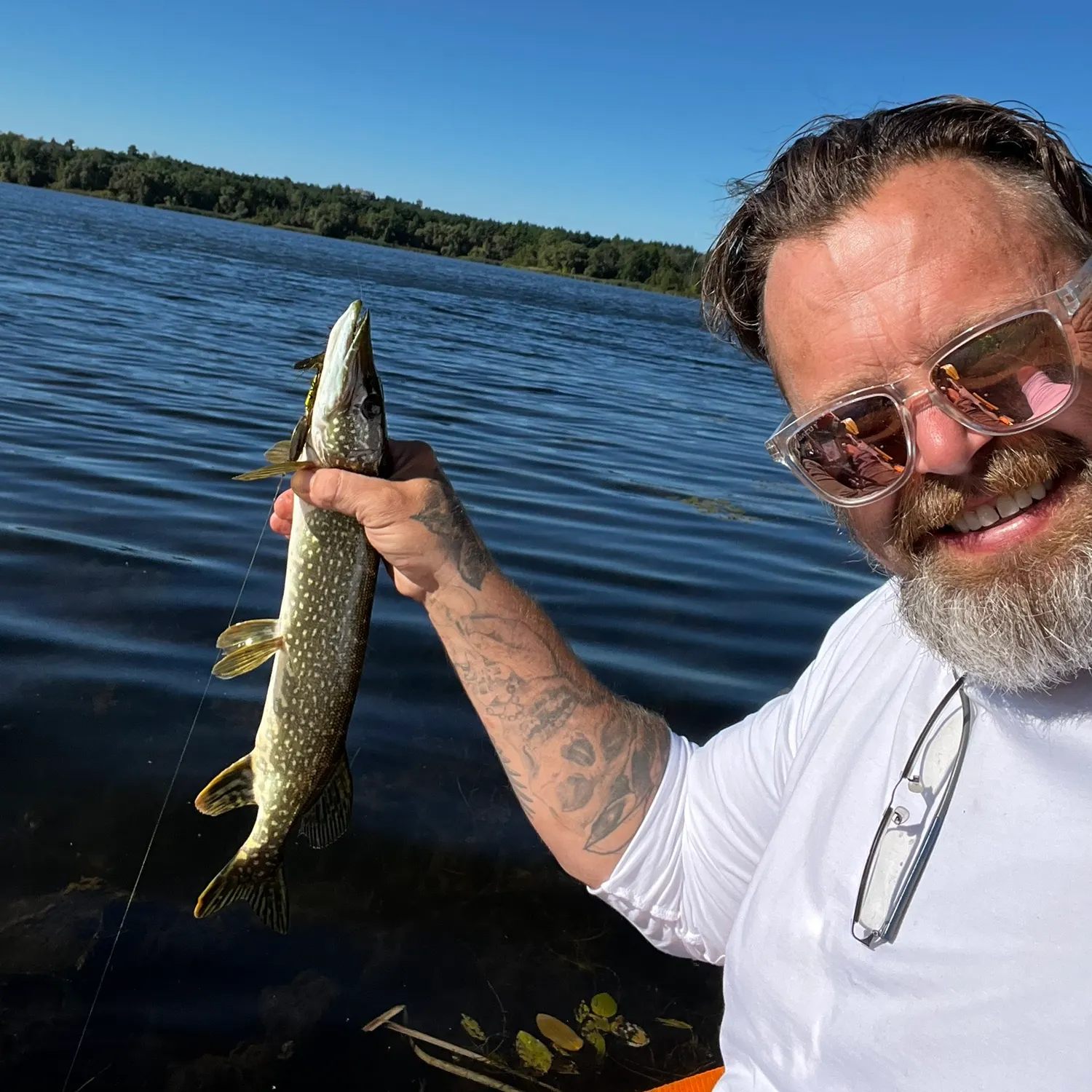 Northern pike caught on Fishbrain