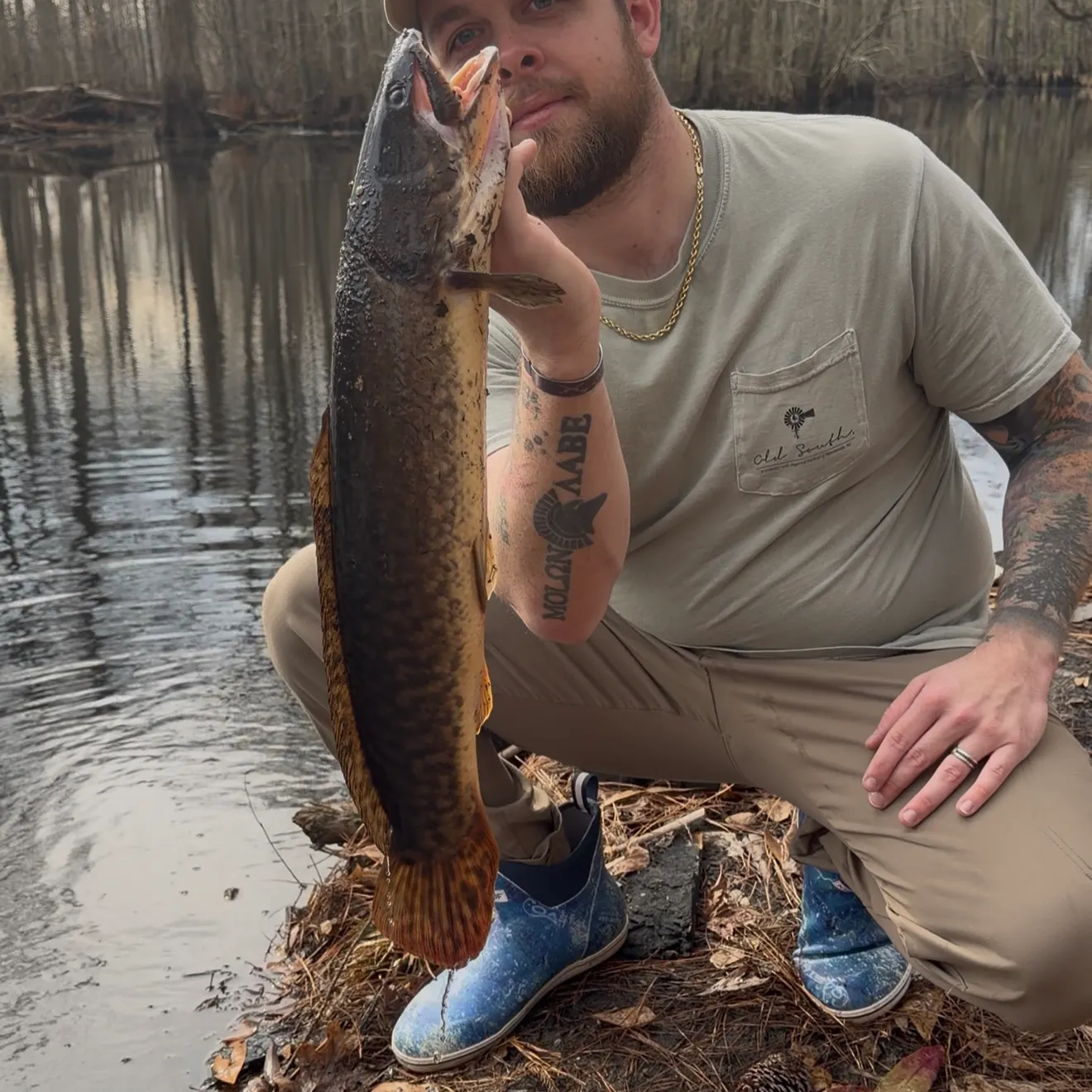 The most recent Eyetail bowfin catches on Fishbrain