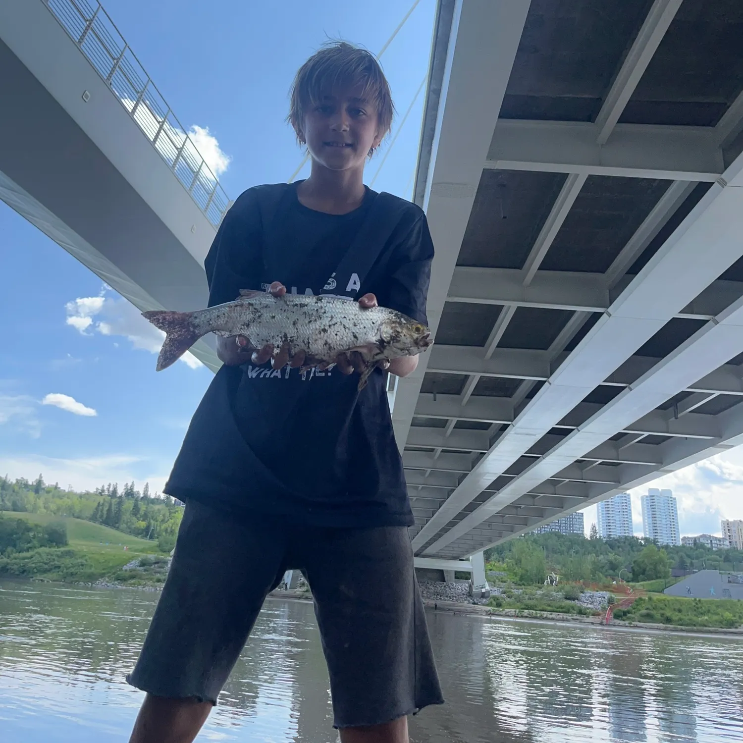 The most recent Goldeye catches on Fishbrain