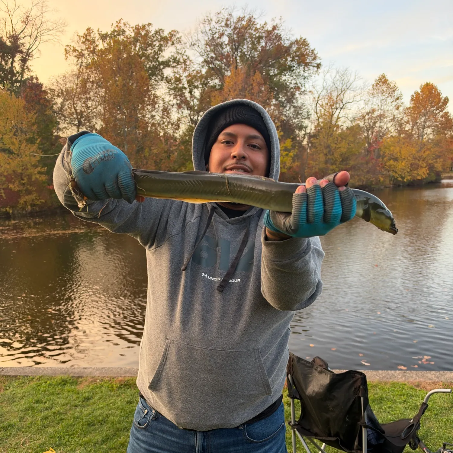 American eel caught on Fishbrain