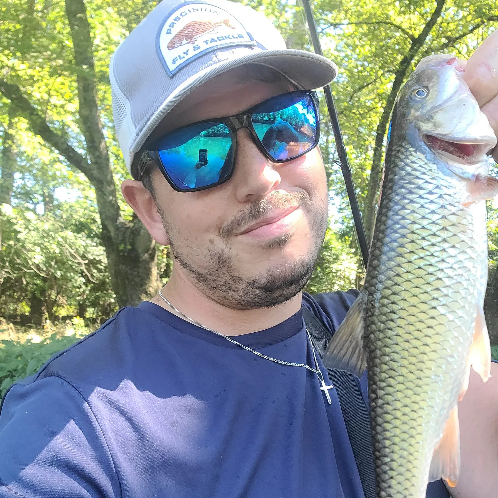 Fallfish caught on Fishbrain