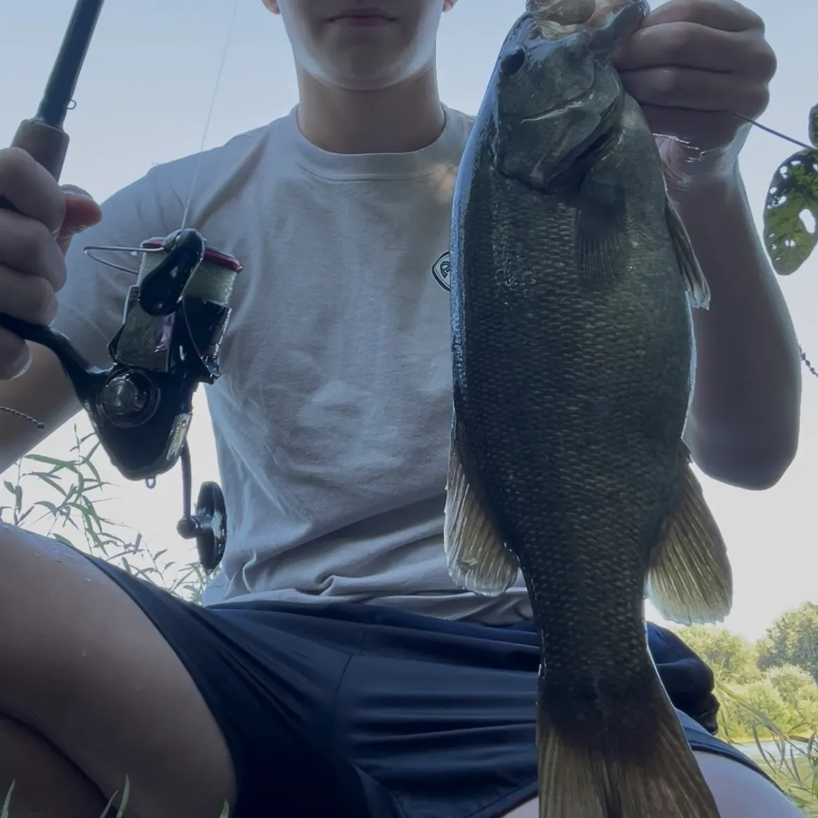 Smallmouth bass caught on Fishbrain