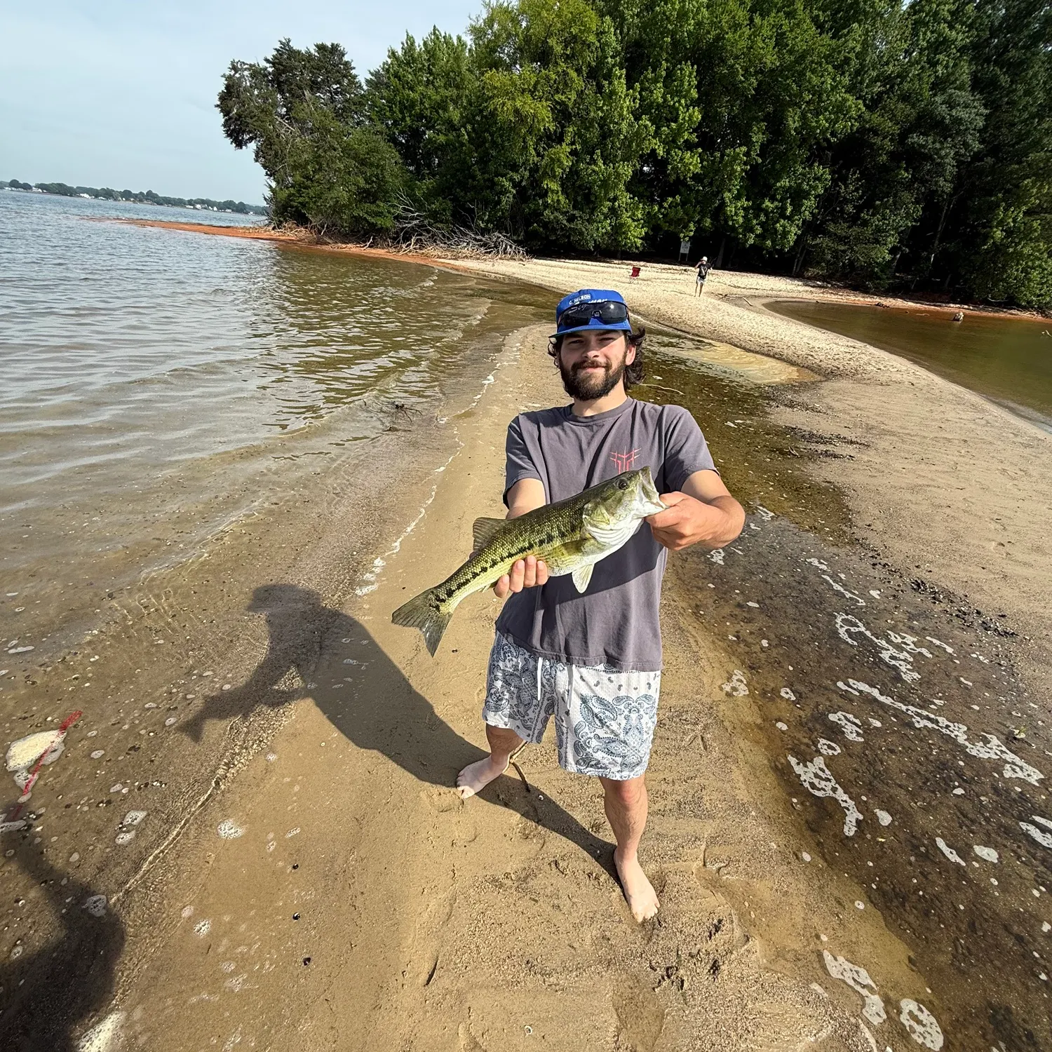 The most recent Alabama bass catches on Fishbrain