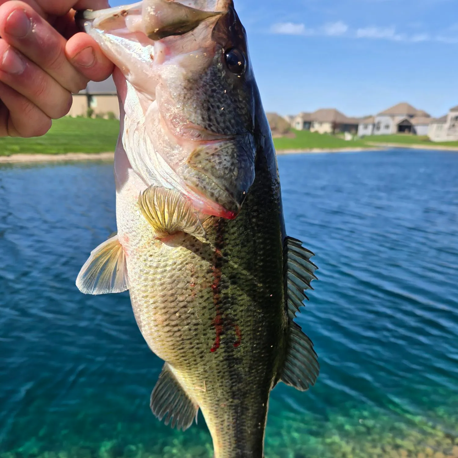 angler catch