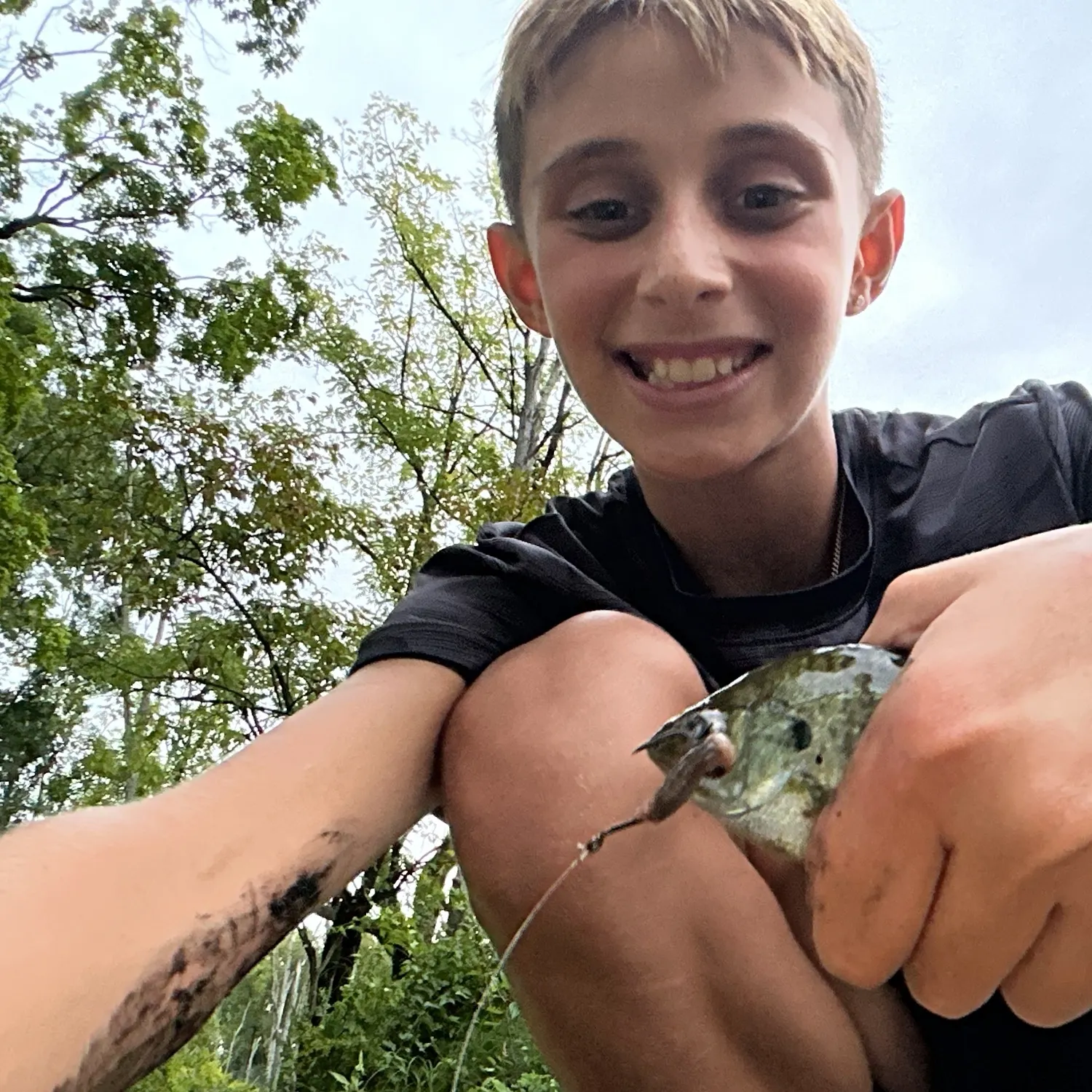 Bluegill caught on Fishbrain