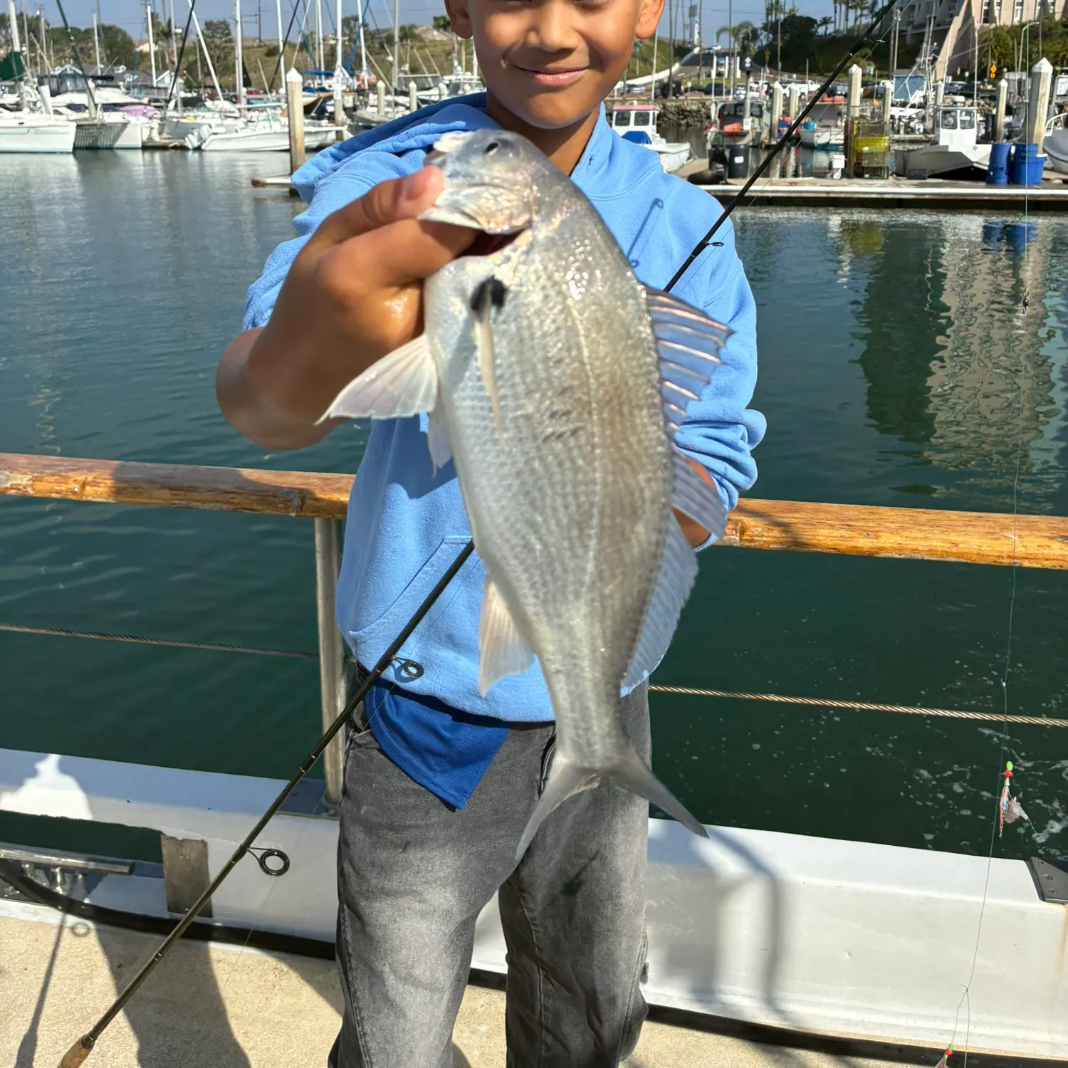 The most recent Spotfin croaker catches on Fishbrain